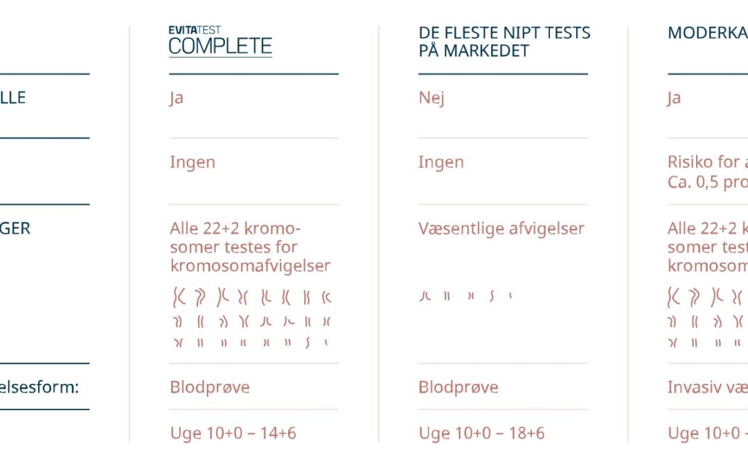 Skærmbillede 2022-01-03 112928